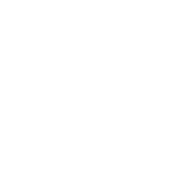 Travelling Leopard Paws